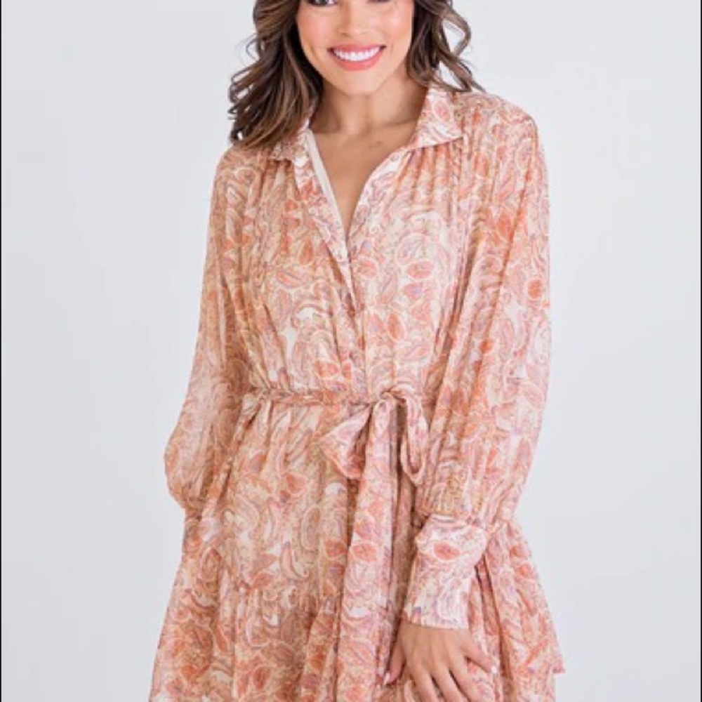 Pretty Paisley Tie Waist Button Down Mini Dress